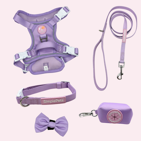 Alltagsheld Deluxe Set