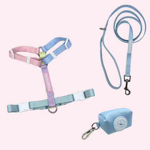 Rainbow-Geschirr Set