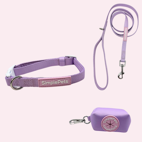 Halsband light Set