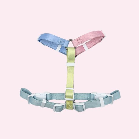 Rainbow-Geschirr Set