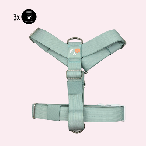 3-in-1 Geschirr (große/starke Hunde)