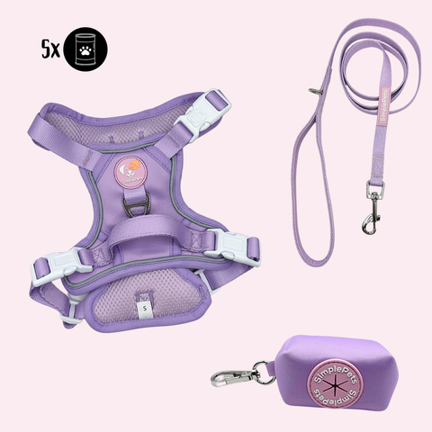 Alltagsheld-Geschirr Set