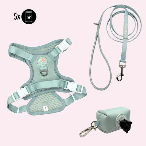 Alltagsheld-Geschirr Set