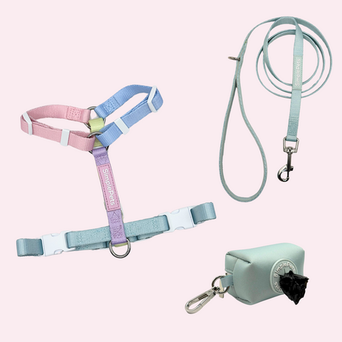 Rainbow-Geschirr Set