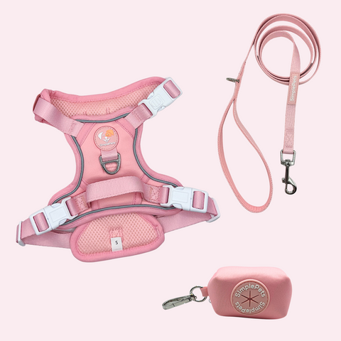 Alltagsheld-Geschirr Set