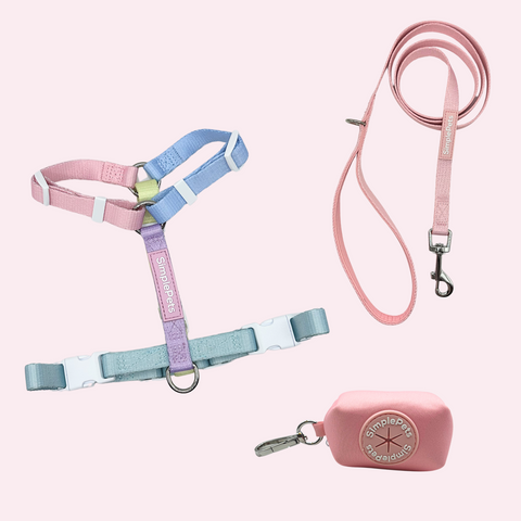 Rainbow-Geschirr Set