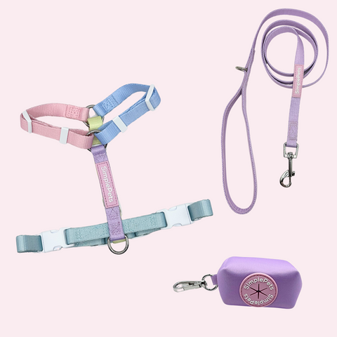 Rainbow-Geschirr Set