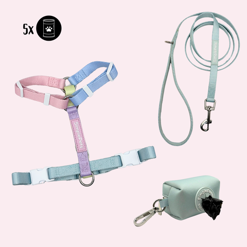 Rainbow-Geschirr Set