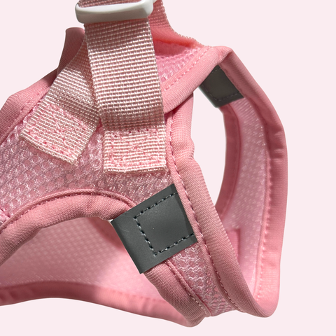 Step-In Geschirr Set mit Hundeleine light