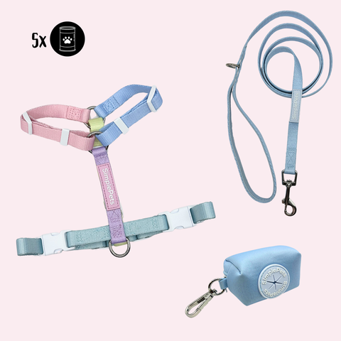 Rainbow-Geschirr Set