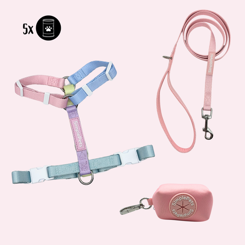 Rainbow-Geschirr Set