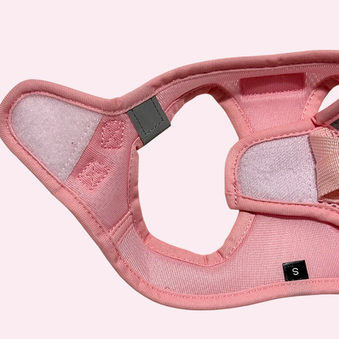 Step-In Geschirr Set mit 2,5m verstellbare Führ/Handsfreeleine