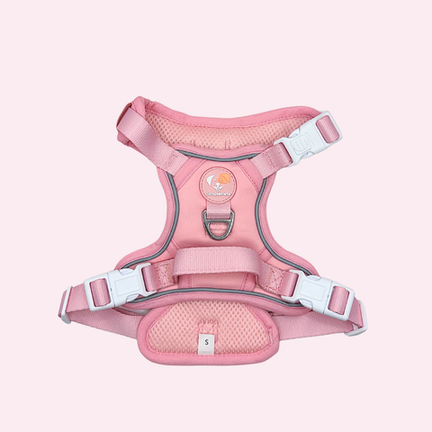 Alltagsheld-Geschirr