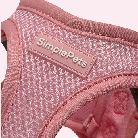 Step-In Geschirr Set mit Hundeleine light