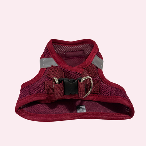 Step-In Geschirr Set mit 2,5m verstellbare Führ/Handsfreeleine