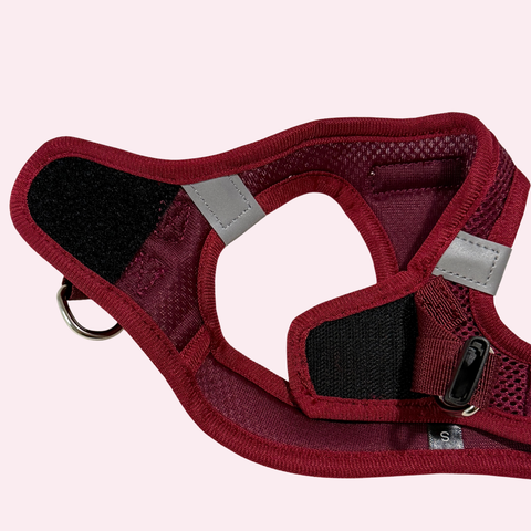 Step-In Geschirr Set mit 2,5m verstellbare Führ/Handsfreeleine