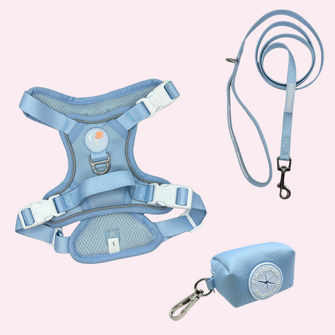 Alltagsheld-Geschirr Set