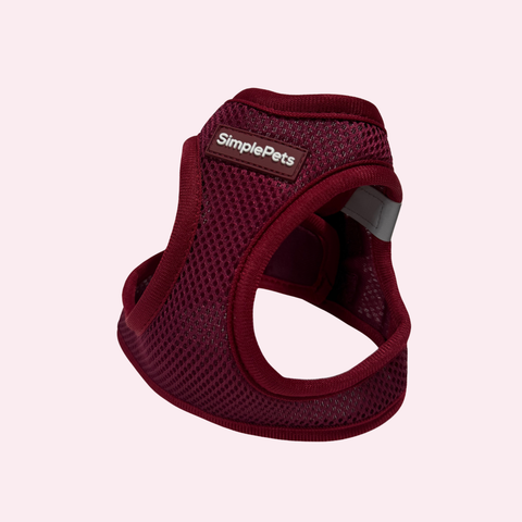 Step-In Geschirr Set mit 2,5m verstellbare Führ/Handsfreeleine