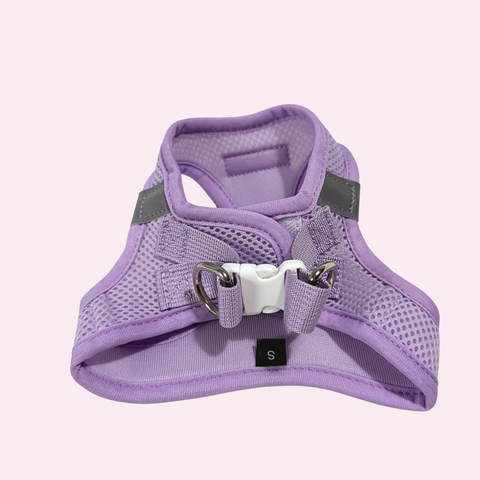 Step-In Geschirr Set mit 2,5m verstellbare Führ/Handsfreeleine