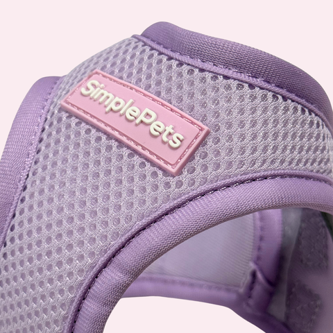 Step-In Geschirr Set mit Hundeleine light