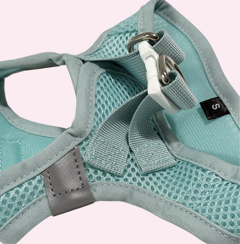 Step-In Geschirr Set mit Hundeleine light