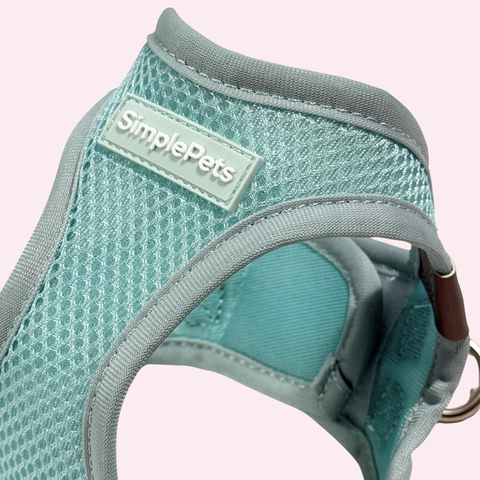 Step-In Geschirr Set mit Hundeleine light