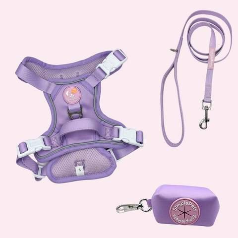 Alltagsheld-Geschirr Set