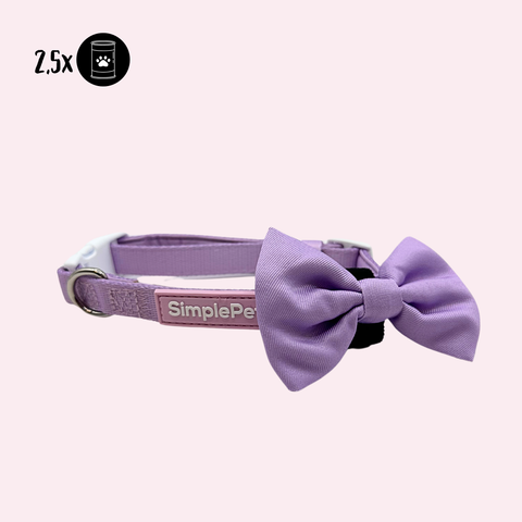 Halsband light + Hundefliege