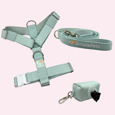 3-in-1 Geschirr Set