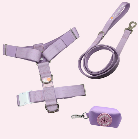 3-in-1 Geschirr Set
