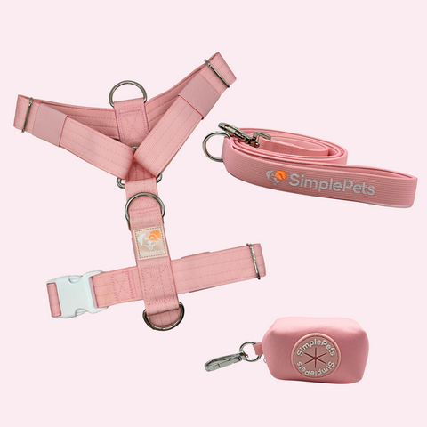 3-in-1 Geschirr Set