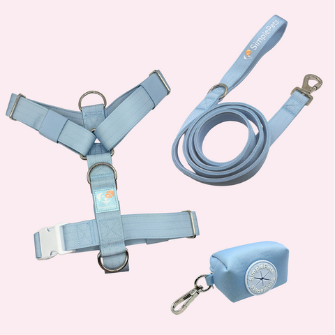 3-in-1 Geschirr Set