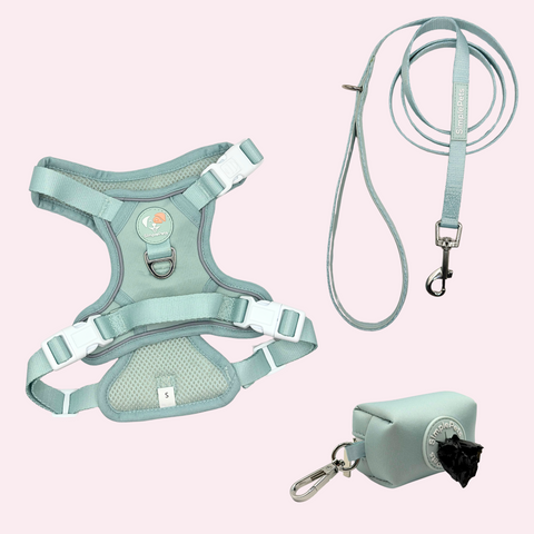 Alltagsheld-Geschirr Set