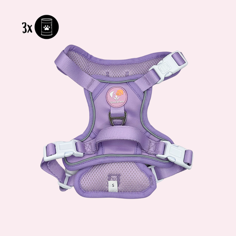 Alltagsheld-Geschirr