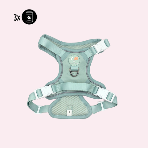 Alltagsheld-Geschirr