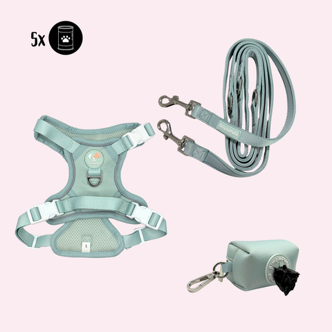 Alltagsheld-Geschirr Set mit 2,5m Führ/Handsfree Leine