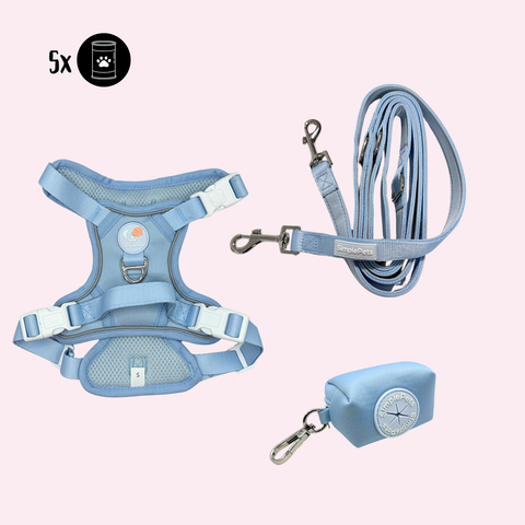 Alltagsheld-Geschirr Set mit 2,5m Führ/Handsfree Leine