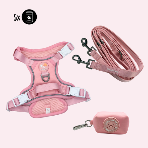 Alltagsheld-Geschirr Set mit 2,5m Führ/Handsfree Leine