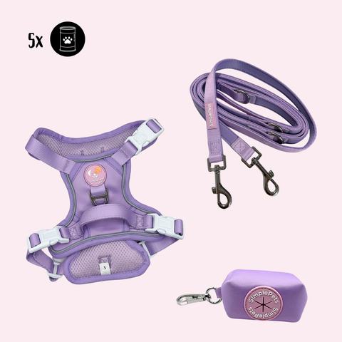Alltagsheld-Geschirr Set mit 2,5m Führ/Handsfree Leine