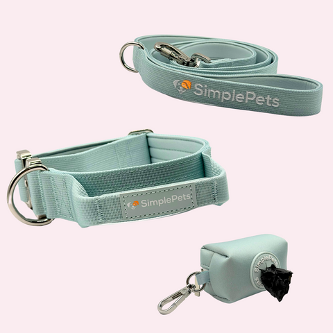 Halsband strong Set