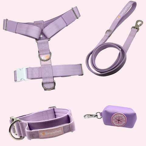 3-in-1 Deluxe Set