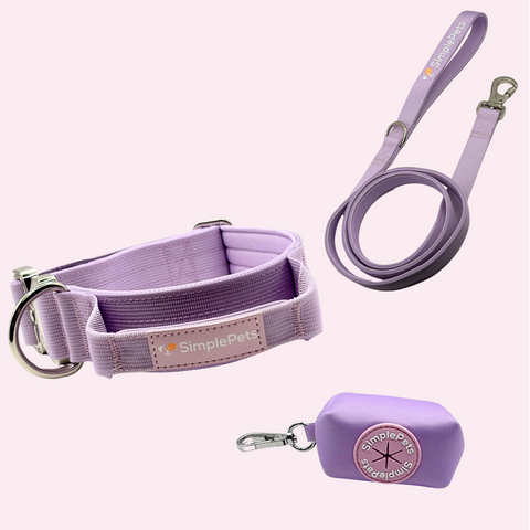 Halsband strong Set