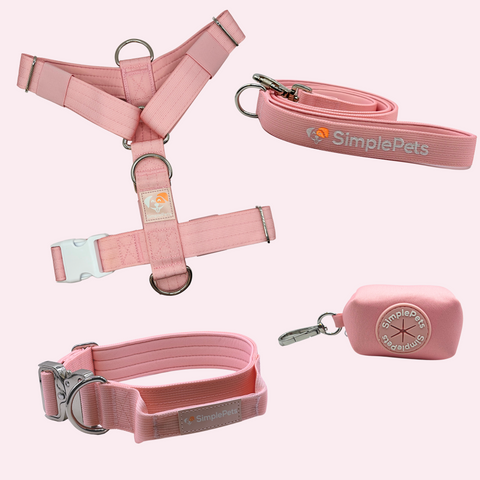 3-in-1 Deluxe Set