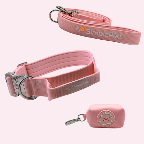 Halsband strong Set