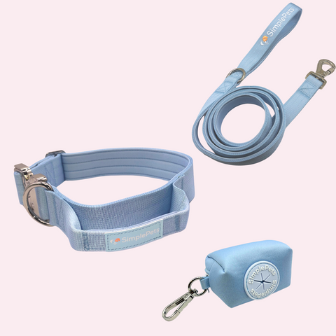 Halsband strong Set
