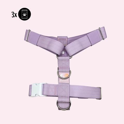 3-in-1 Geschirr (große/starke Hunde)