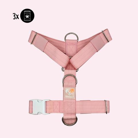 3-in-1 Geschirr (große/starke Hunde)