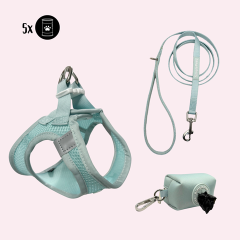 Step-In Geschirr Set mit Hundeleine light