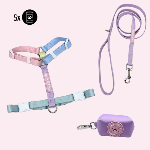 Rainbow-Geschirr Set