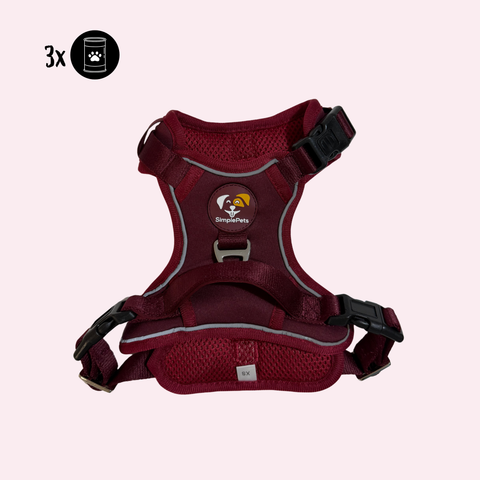 Alltagsheld-Geschirr 2.0 Limited Edition